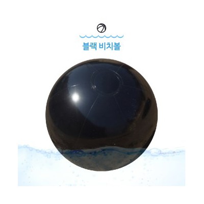 (대)블랙 비치볼
