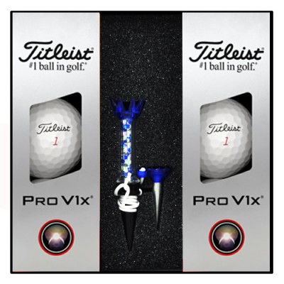 타이틀리스트 PRO V1x 6구 자석티세트